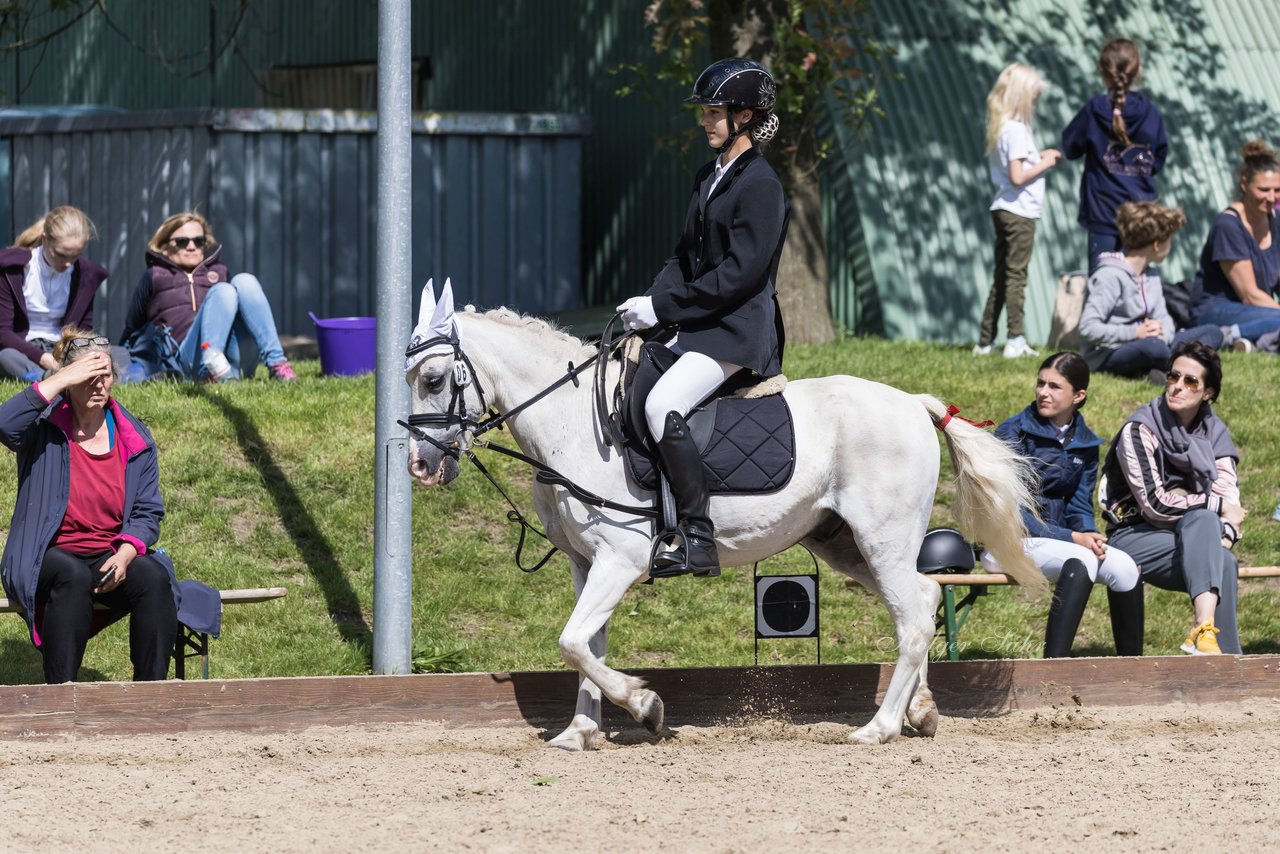 Bild 6 - Pony Akademie Turnier